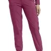 Women's Contoured Jogger Scrub Pant 2 Women's Contoured Jogger Scrub Pant -Medical Nurse Clothing Shop 1 wc 365 650